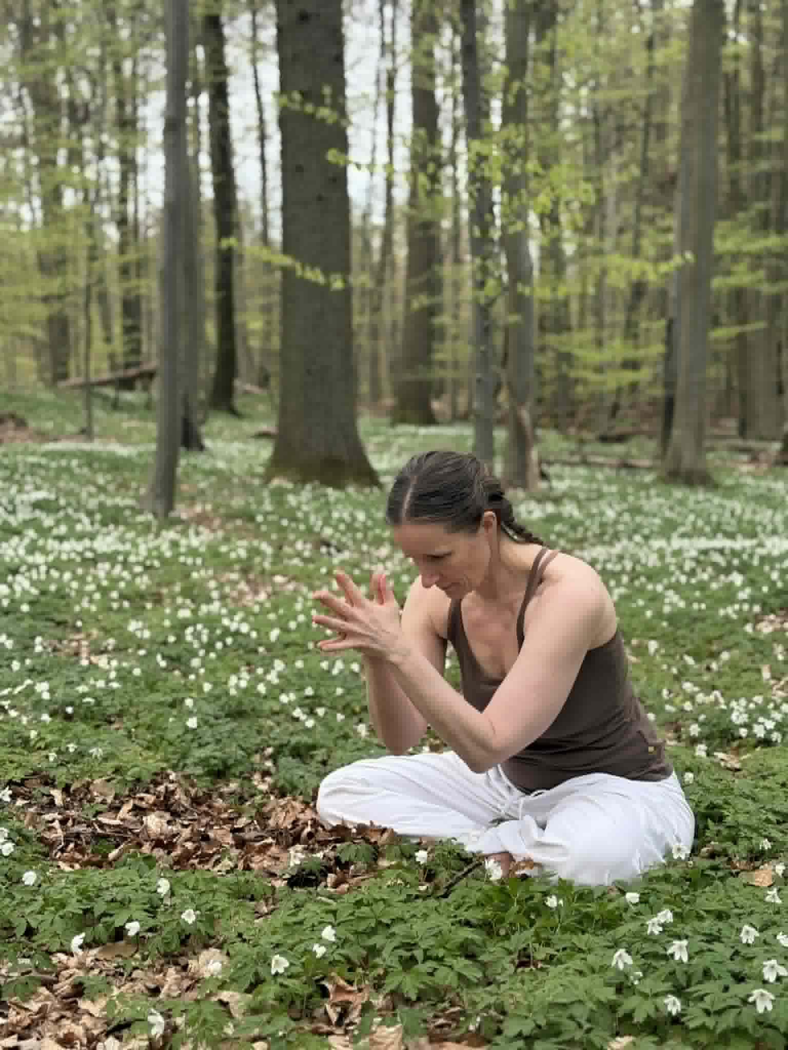 Meditation